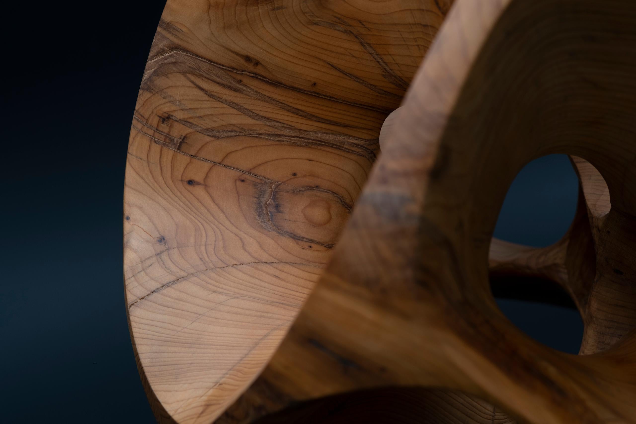 The Other Side I by Wouter van der Vlugt - Wood sculpture, yew, movement, shape For Sale 8