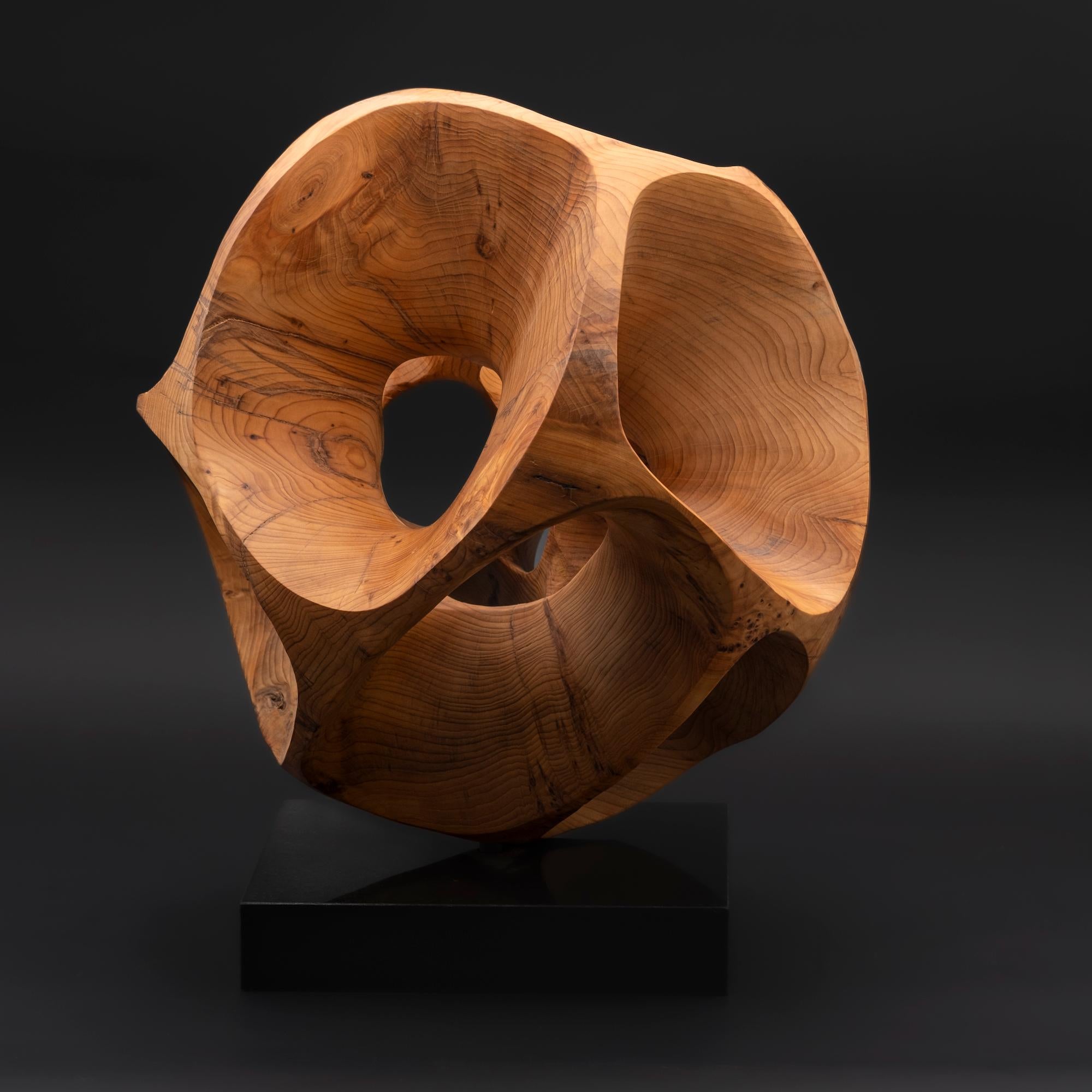 The Other Side I by Wouter van der Vlugt - Wood sculpture, yew, movement, shape