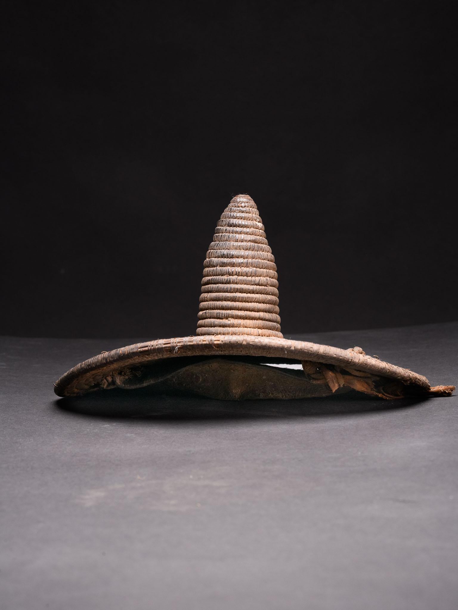 Gewebtes Abwehrschild, Batammaliba-Kultur, Republik Benin. (Sudanesisch) im Angebot