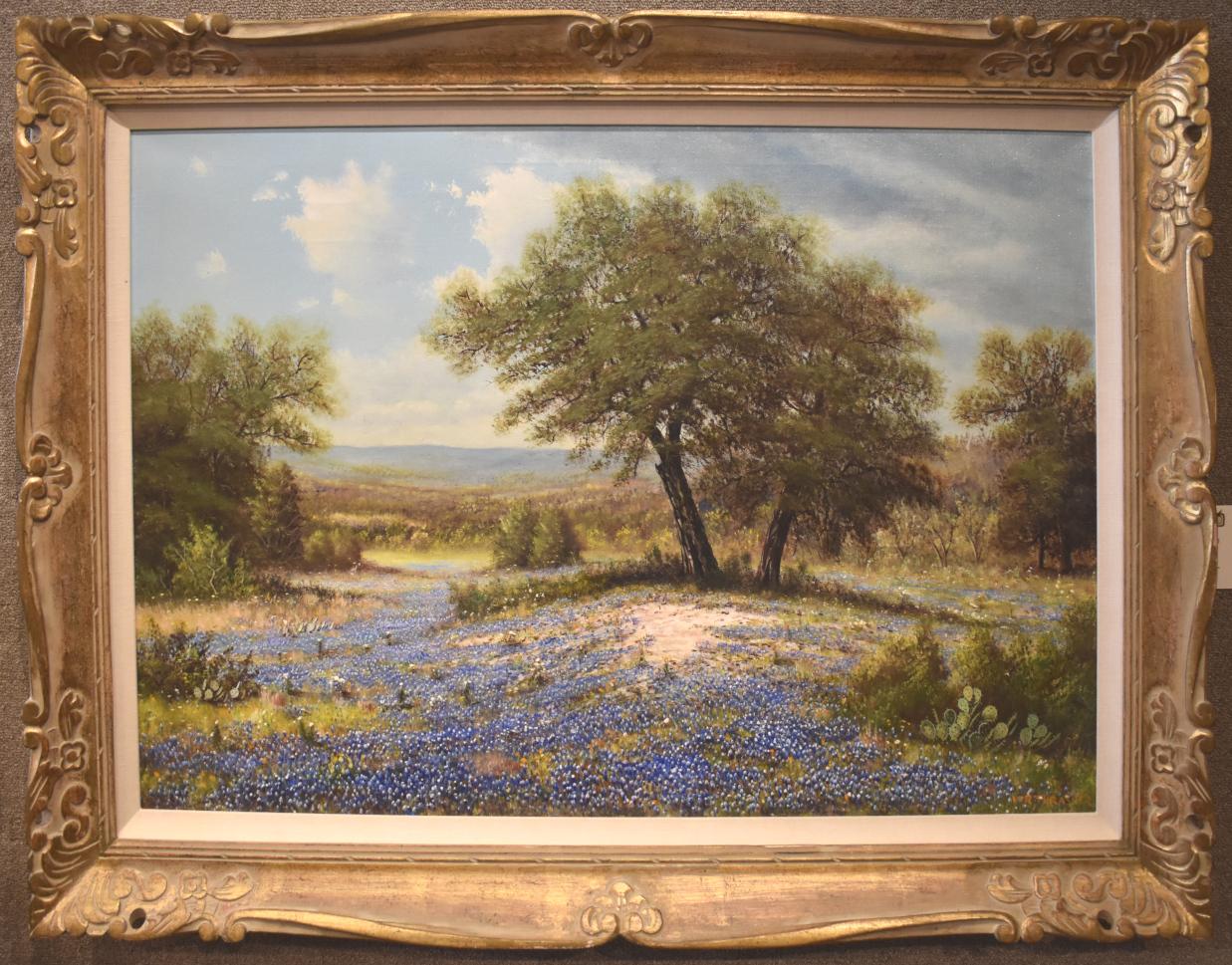 "BLUEBONNETS" TEXAS HILL COUNTRY WILDFLOWERS IN BLOOM