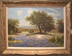 "BLUEBONNETS" TEXAS HILL COUNTRY WILDFLOWERS IN BLOOM