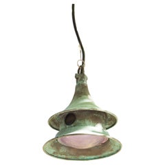 Wren House Outdoor Suspension Lamp in Verdigris Copper