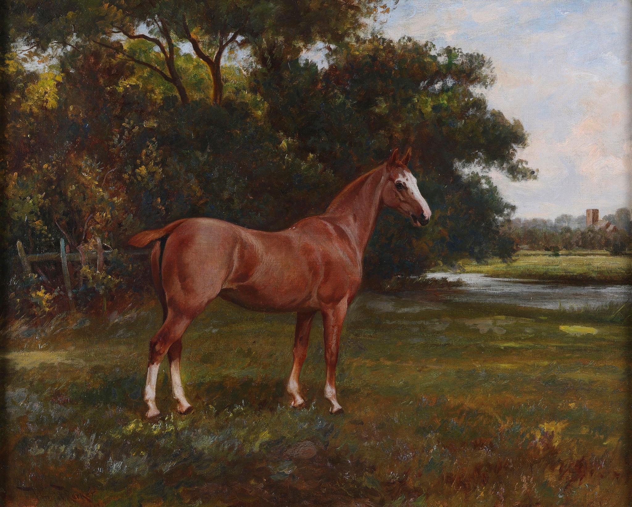 Ein Pferd auf einem Feld. Öl auf Leinwand – Painting von Wright Barker