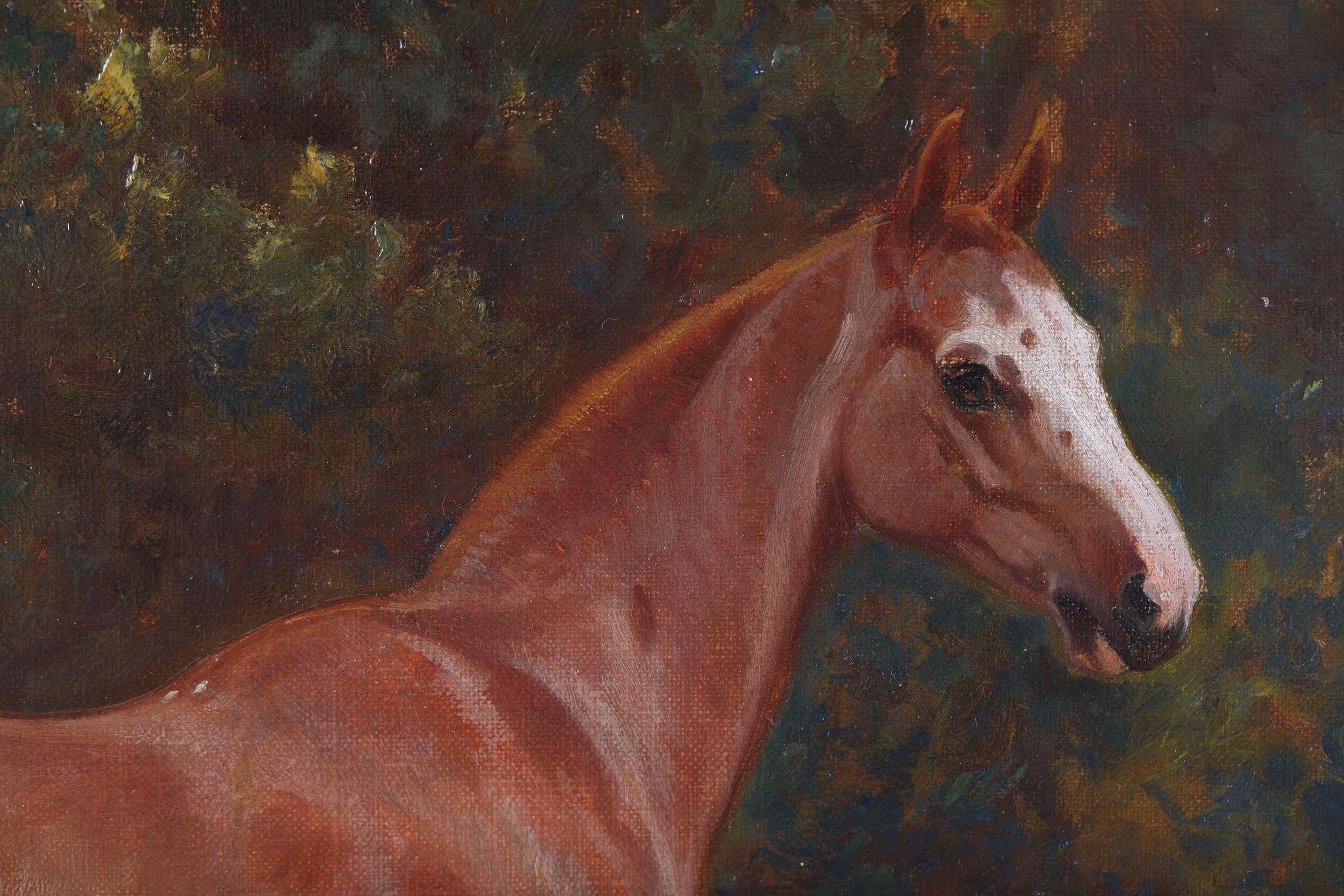 A Horse in a Field. Oil on Canvas For Sale 1