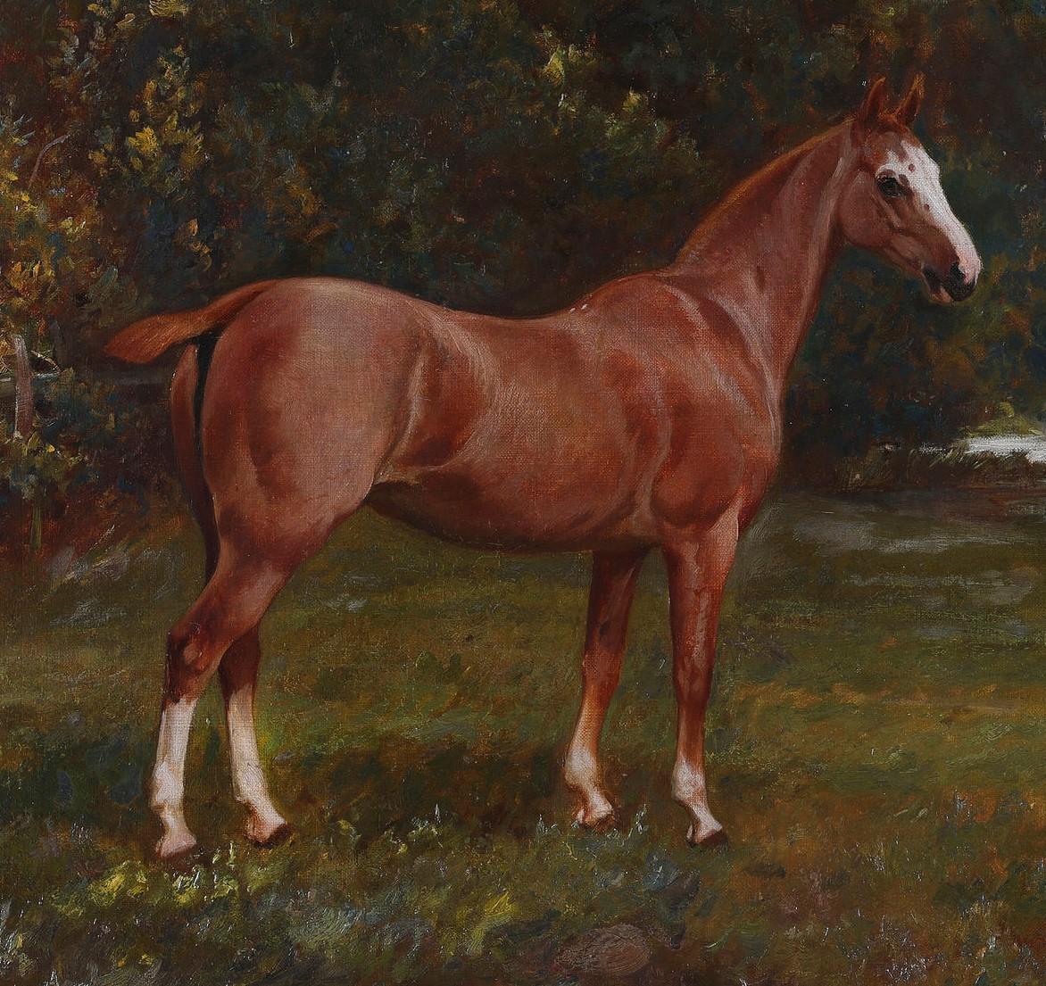 Un cheval dans un champ. Huile sur toile en vente 1