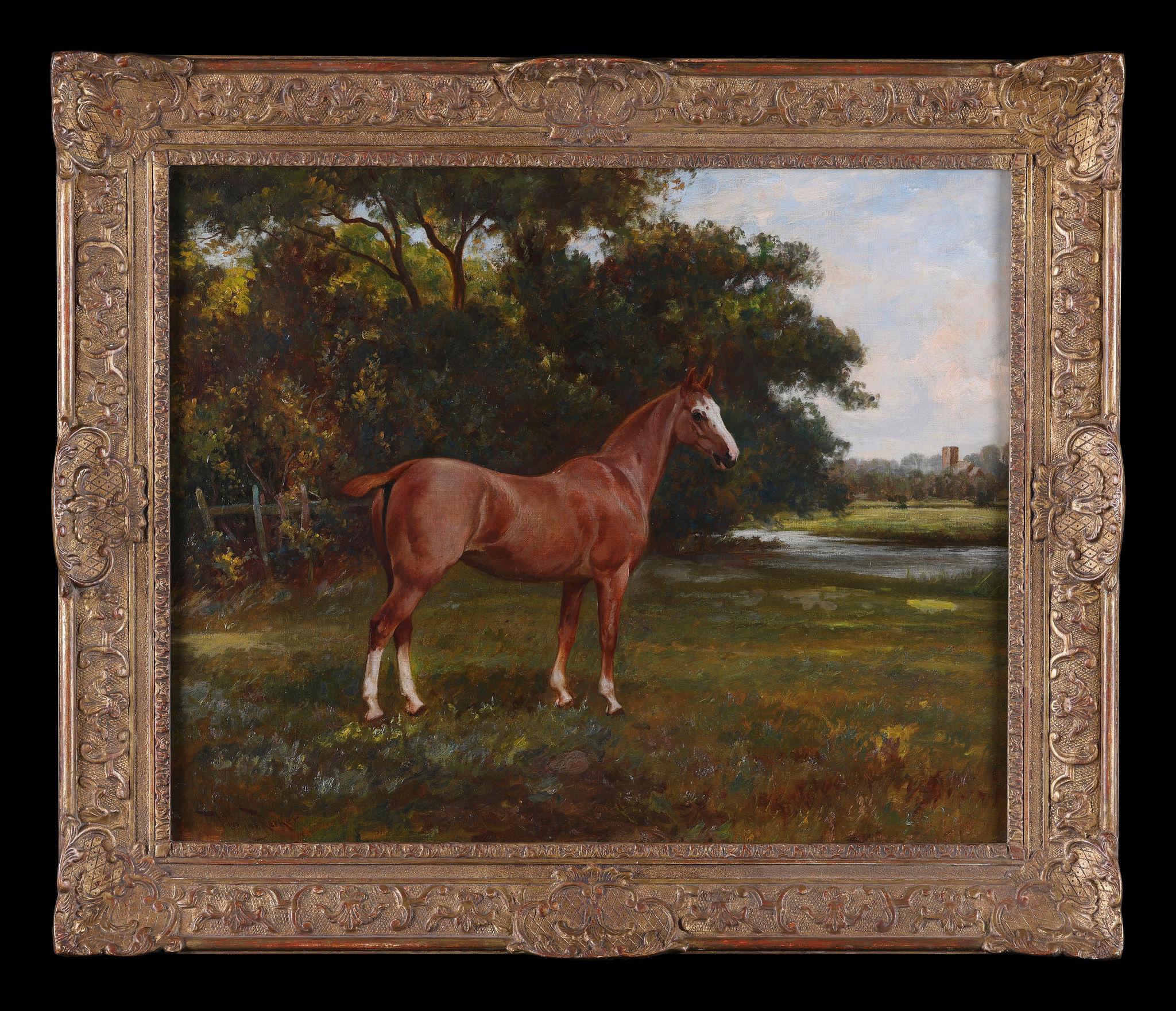 Wright Barker Landscape Painting – Ein Pferd auf einem Feld. Öl auf Leinwand