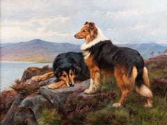 "Faithful companions" - Collies in a Highland loch landscape