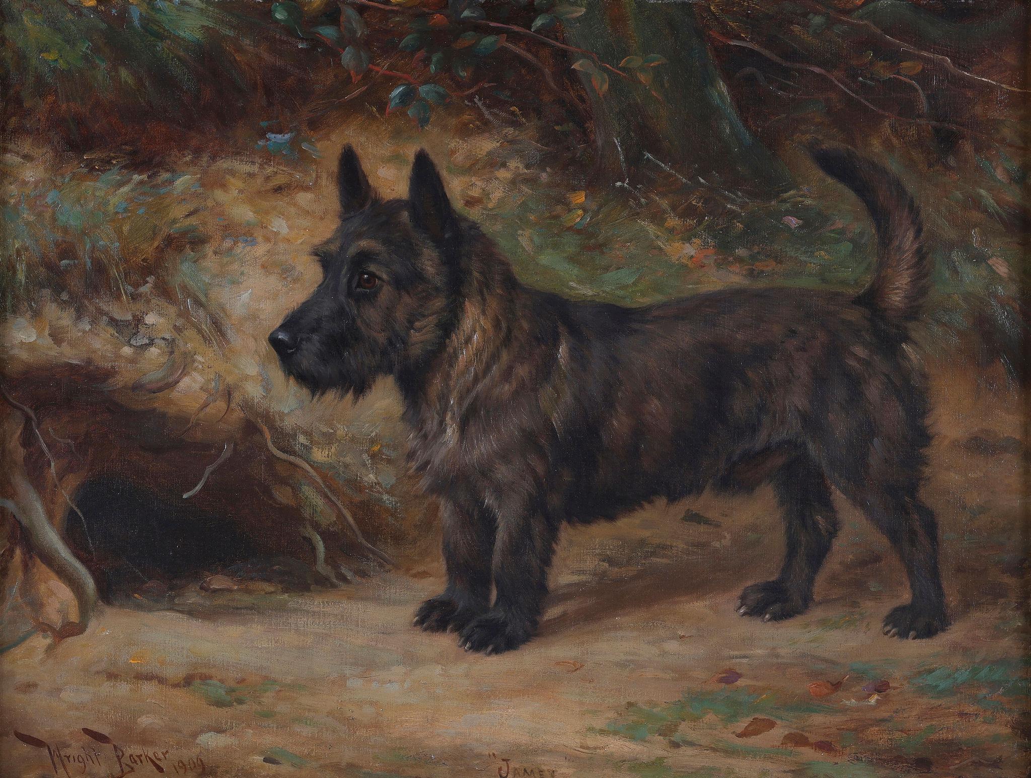 James - A  Brindle Scottie Terrier Peinture à l'huile ancienne sur toile - Painting de Wright Barker