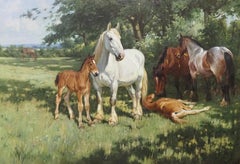Mares and foals in a landscape