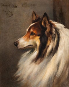Sketch of 'Nix', the head of a collie