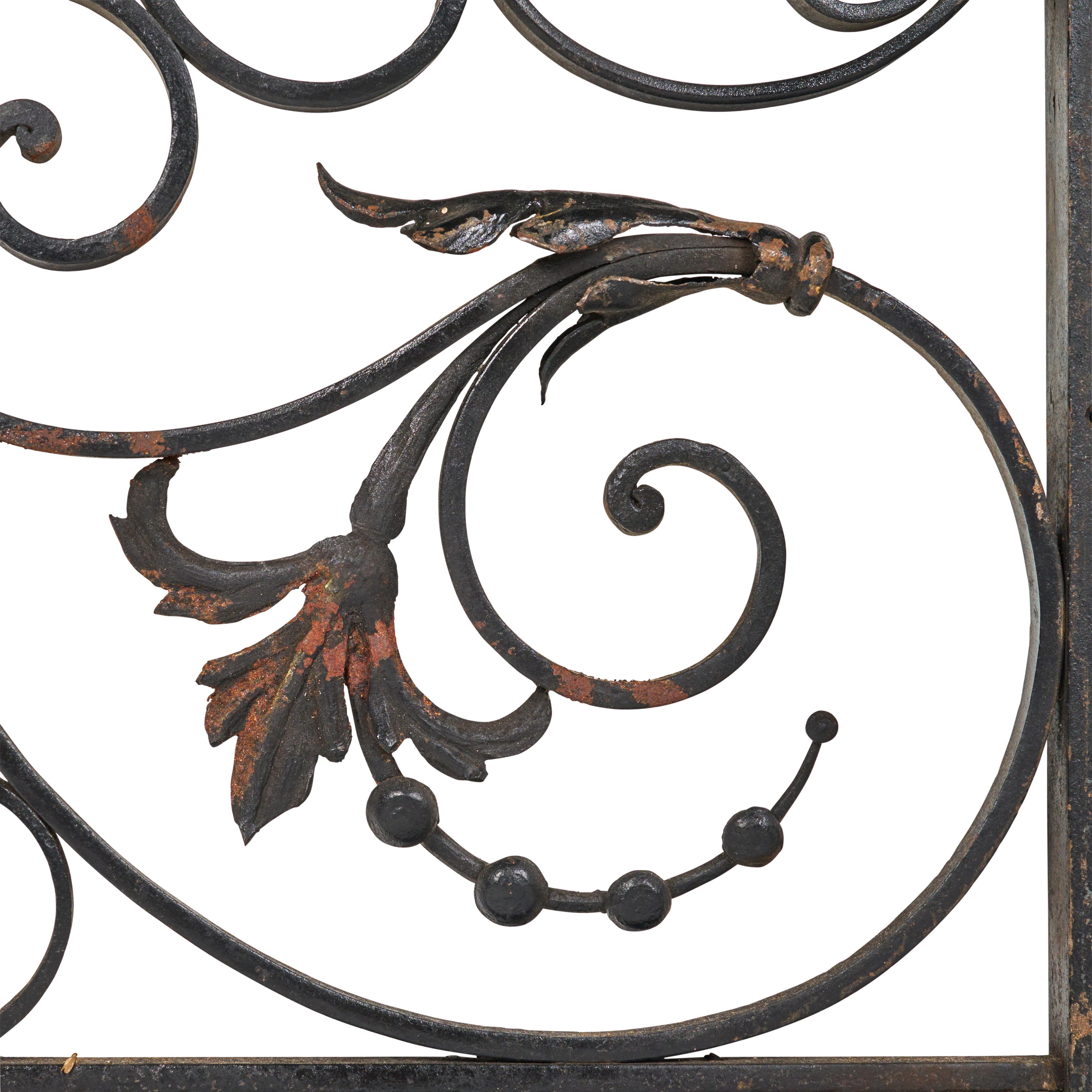 Wrought Iron and Bronze Decorative Grills/Gates 1