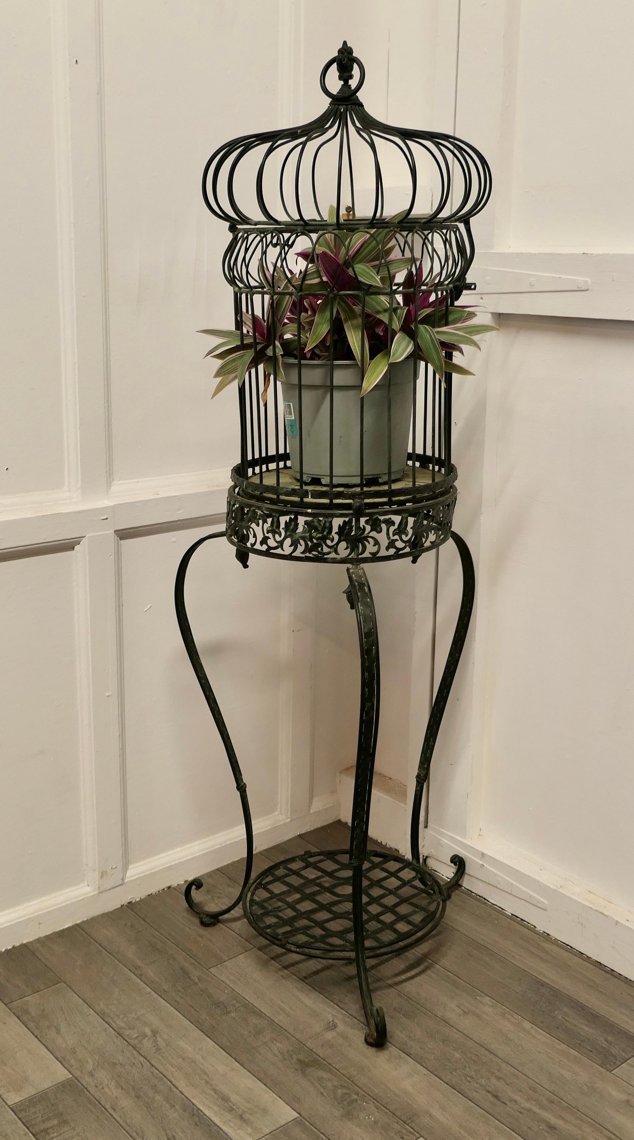 Wrought iron birdcage on stand, plant display 


A great favourite this is a very attractive piece, made in wrought iron, the cage is circular, has an antique finish with a very attractive scrolling stand
The Cage opens from the top and has a