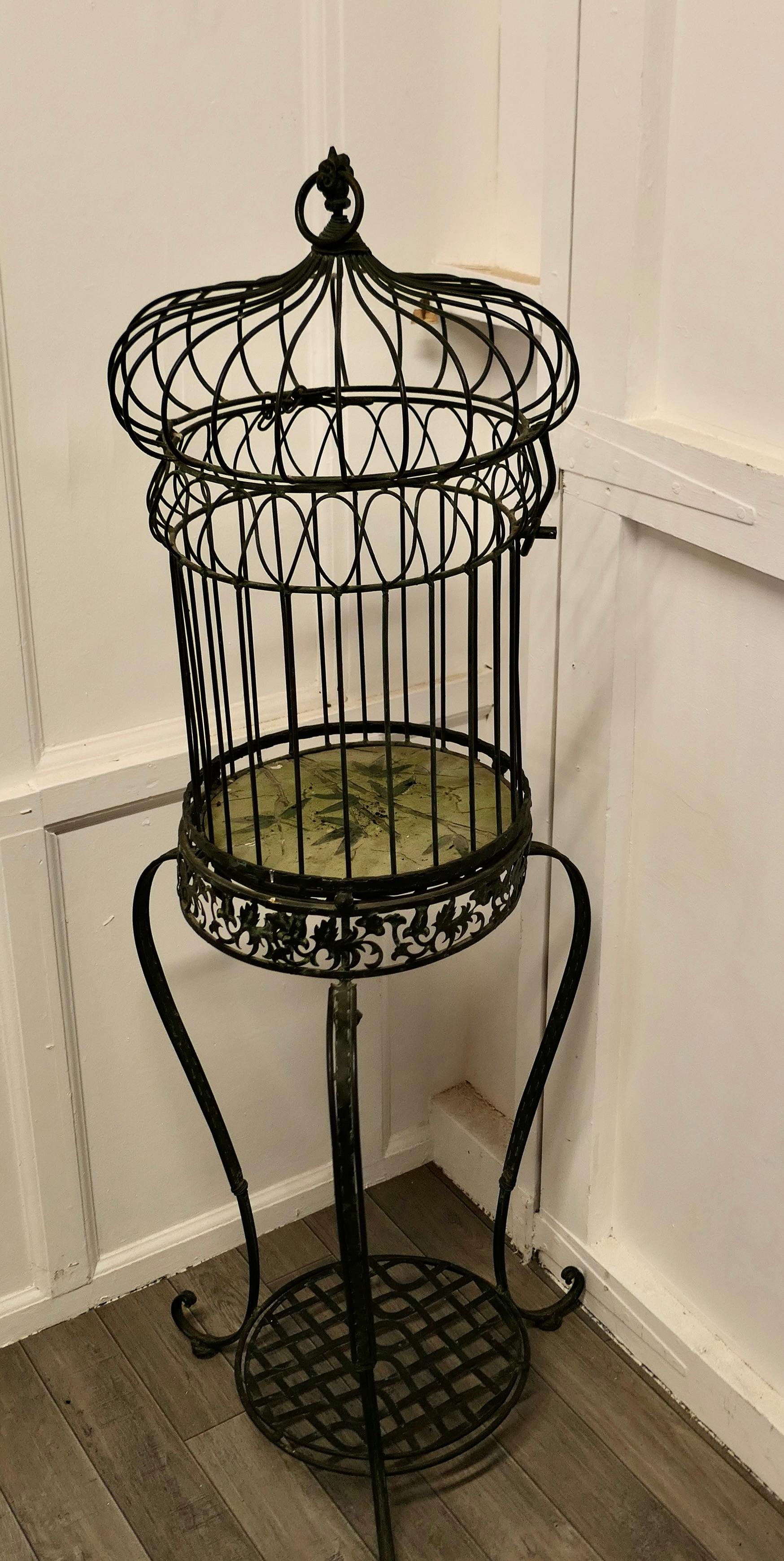 20th Century Wrought Iron Birdcage on Stand, Plant Display      For Sale