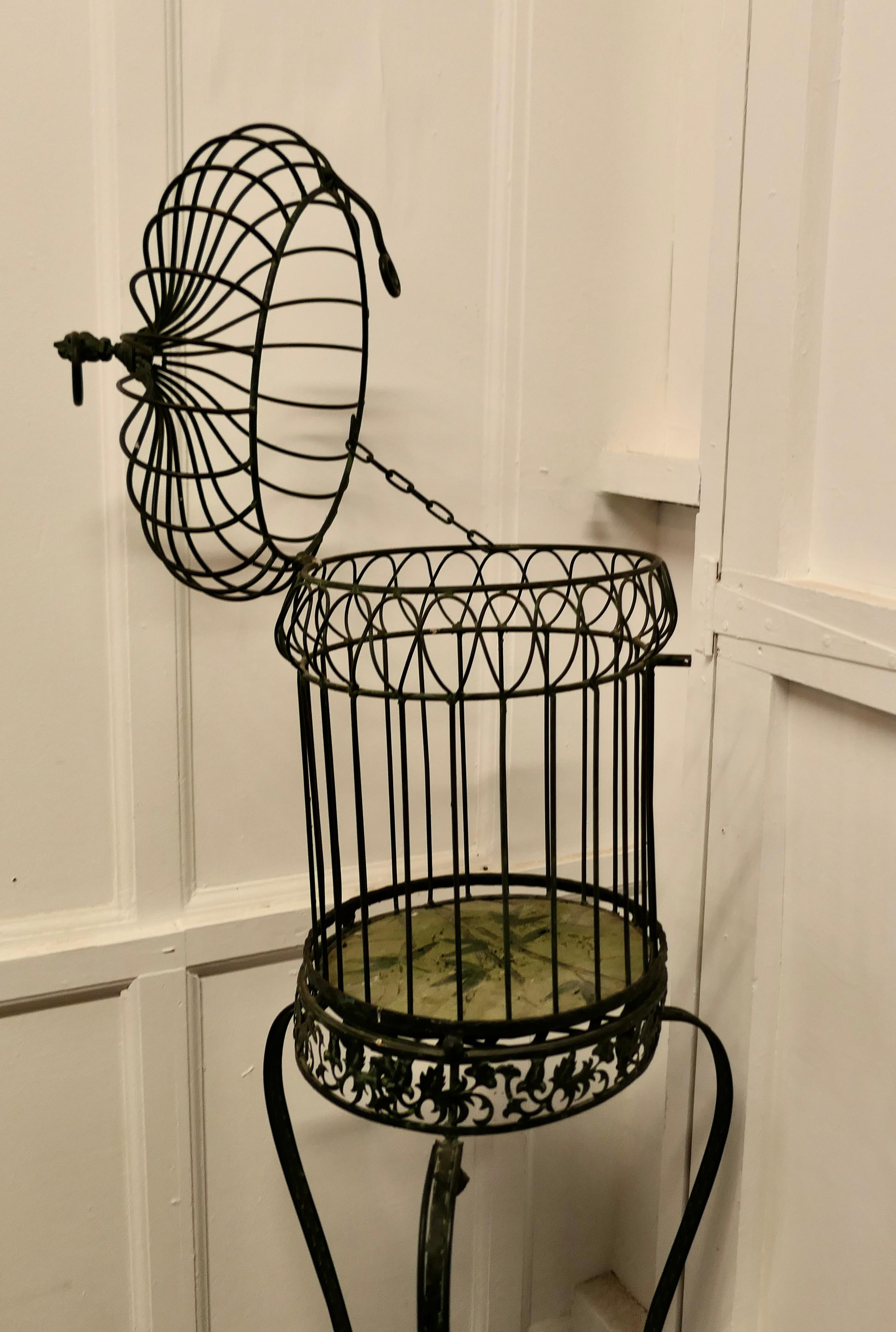 Wrought Iron Birdcage on Stand, Plant Display      For Sale 1