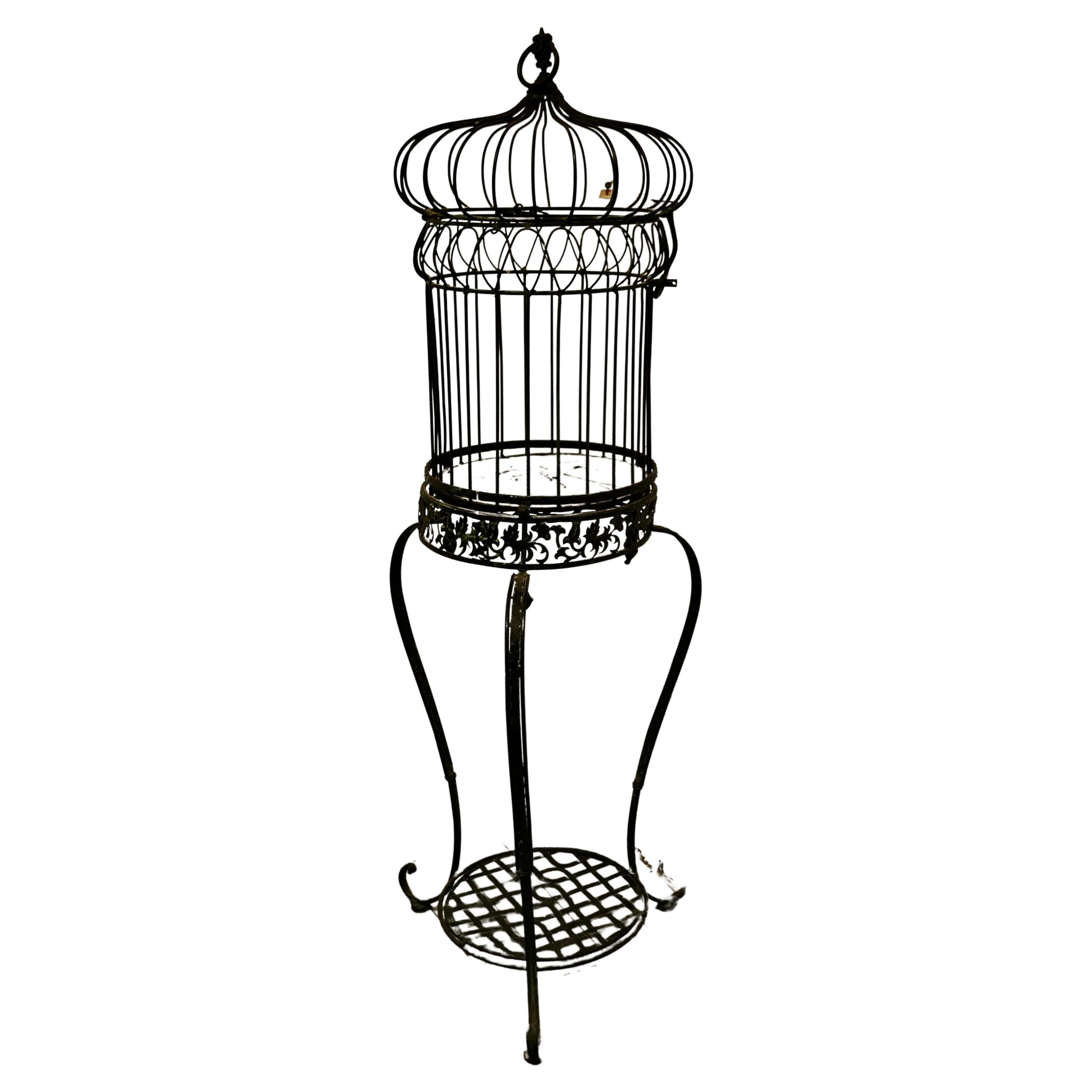 Wrought Iron Birdcage on Stand, Plant Display      For Sale