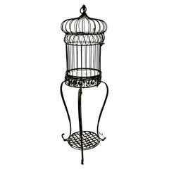 Wrought Iron Birdcage on Stand, Plant Display     