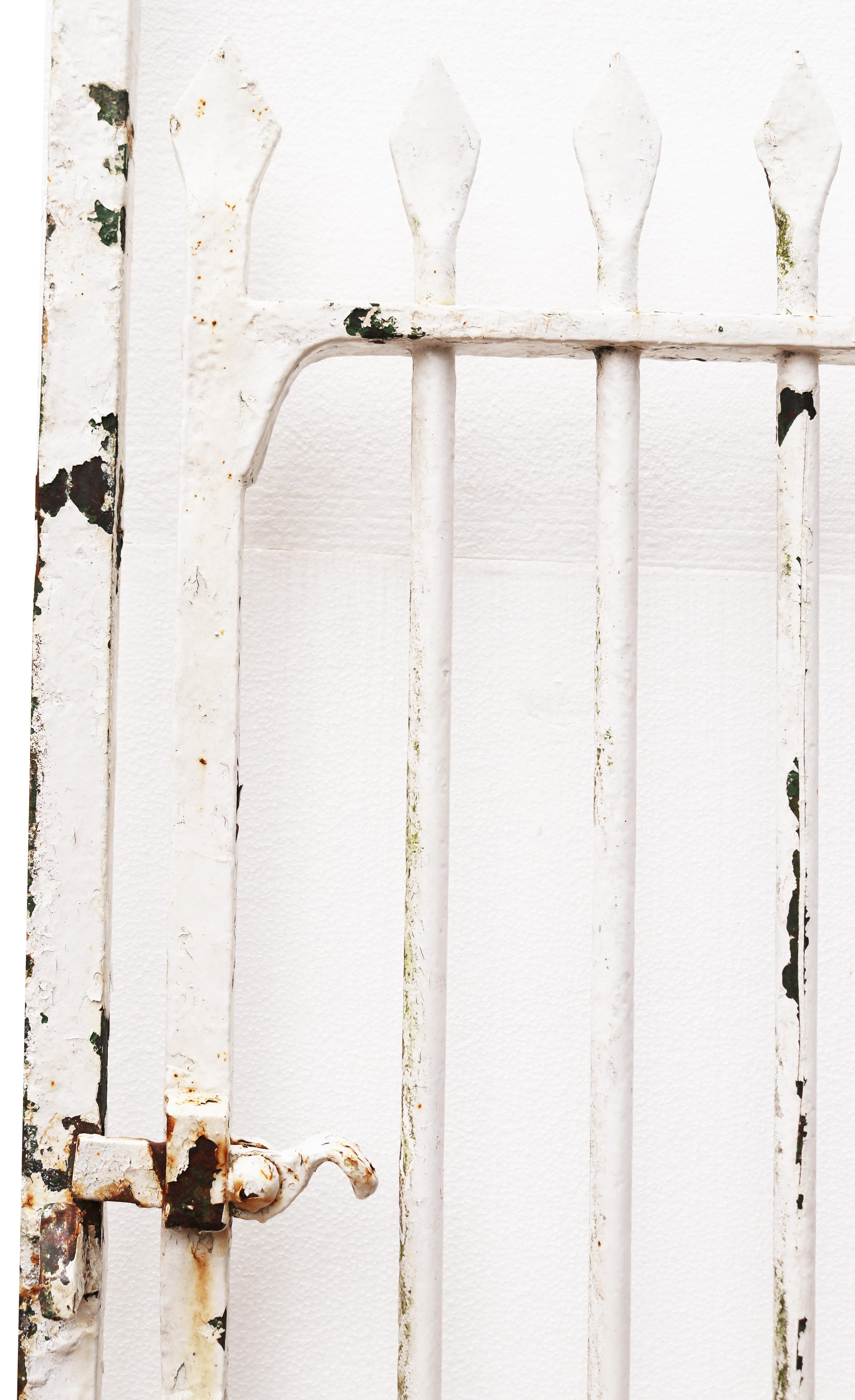 arched wrought iron gates