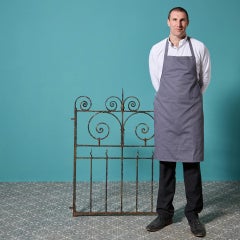 19th Century Wrought Iron Side Gate