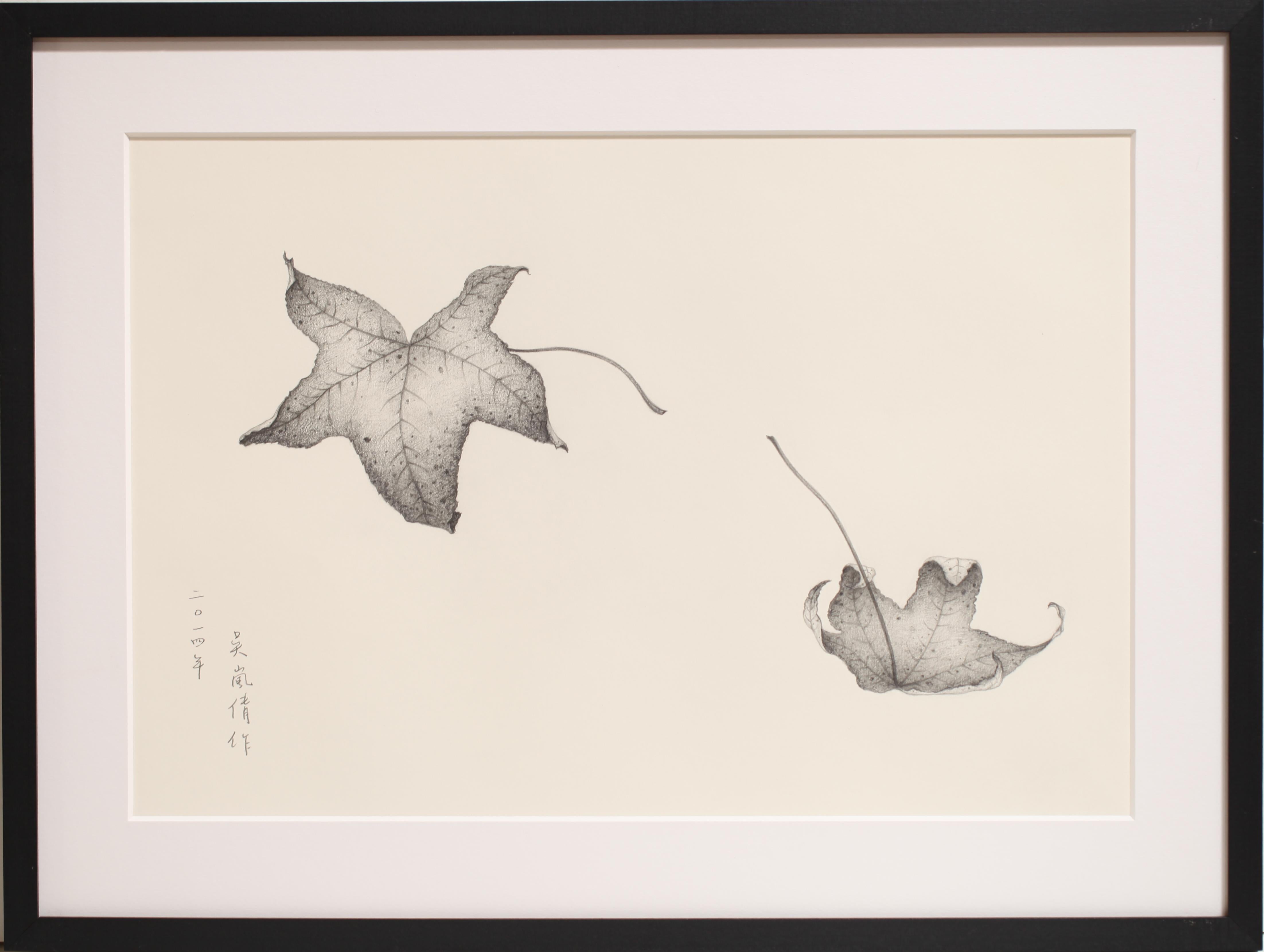 Wu Lan-Chiann Figurative Painting - Pencil on paper - Study of Leaves, 2014, (Framed)