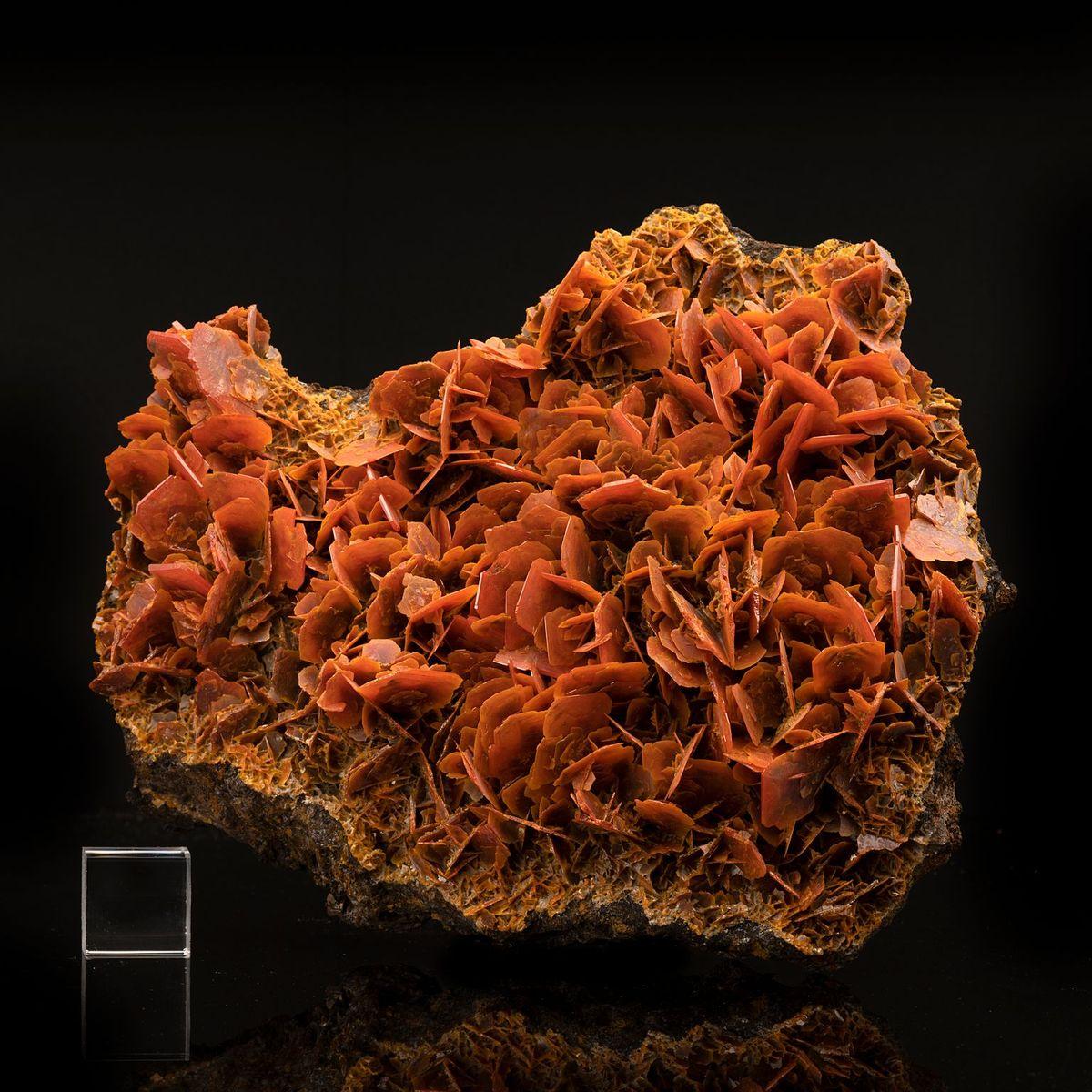 This delicate and arresting display of wulfenite out of China appears almost floral with burnt orange to yellow rosebud-like arrangements on a rocky matrix. An eye-popping acquisition to add color and texture to any serious collection.

Dimensions: