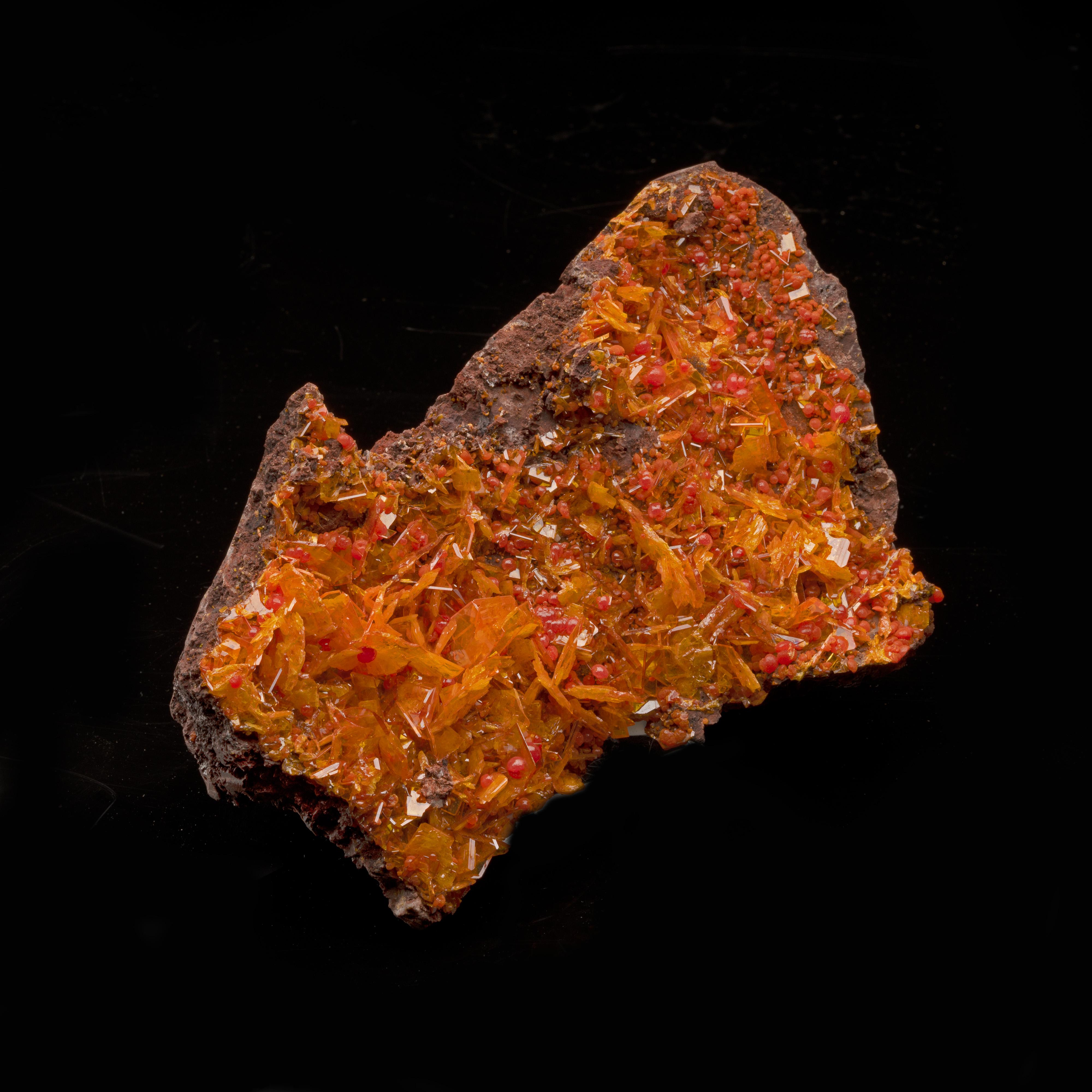 From a newer pocket from the Rowley Mine in Arizona — famous for the unbelievable orange coloring and brilliant luster of their wulfenites — this wulfenite specimen also features secondary deep orange and lustrous botryoidal mimetite crystal growth