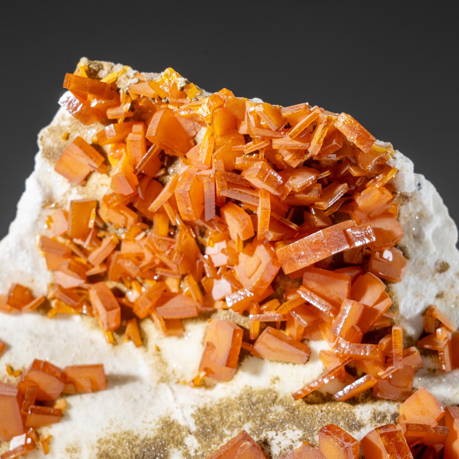 Dalla Sierra de Los Lamentos, Chihuahua, Messico

Grandi cristalli molto scultorei di wulfenite arancio-marrone traslucida con lucentezza satinata sulle ampie facce del cristallo.

Peso: 1,4 lbs, Dimensioni: 5,5 x 2 x 4 pollici