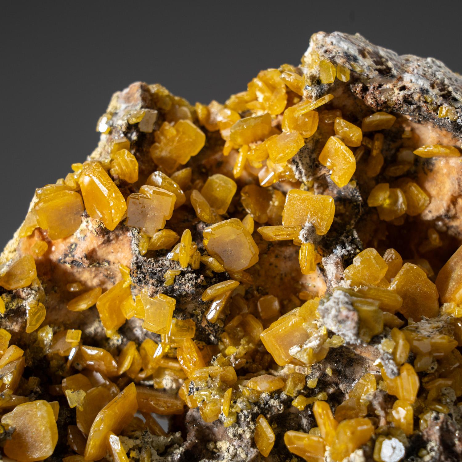 Aus der Touissit-Mine, 21 km SSE von Oujda, Provinz Jerada, Oriental, Marokko

Große Ansammlung durchscheinender gelber Wulfenitkristalle mit Lamellen auf hellbrauner Matrix. Die Wulfenitkristalle haben eine dünne, rechteckige Form, abgeschrägte