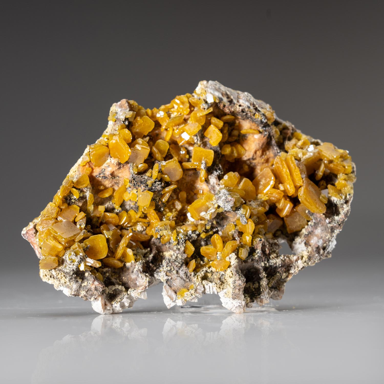 Moroccan Wulfenite from Touissit Mine, Jerada Province, Oriental, Morocco For Sale