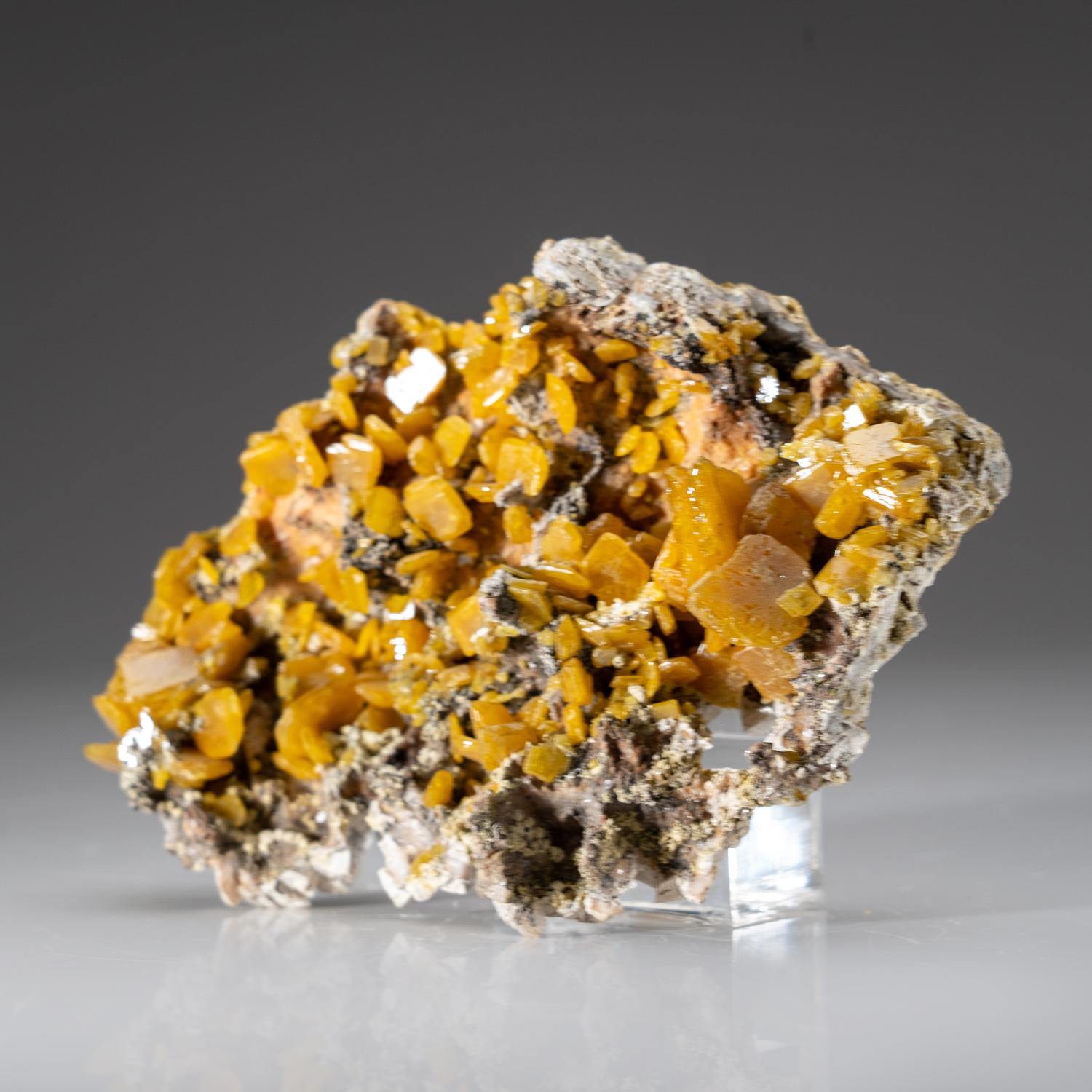 Wulfenite from Touissit Mine, Jerada Province, Oriental, Morocco In New Condition For Sale In New York, NY