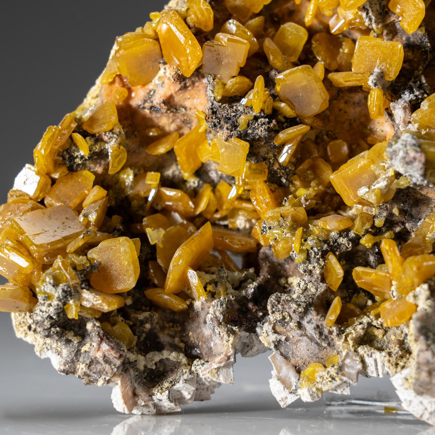 Wulfenit aus der Touissit-Mine, Provinz Jerada, Orientalisch, Marokko (Kristall) im Angebot