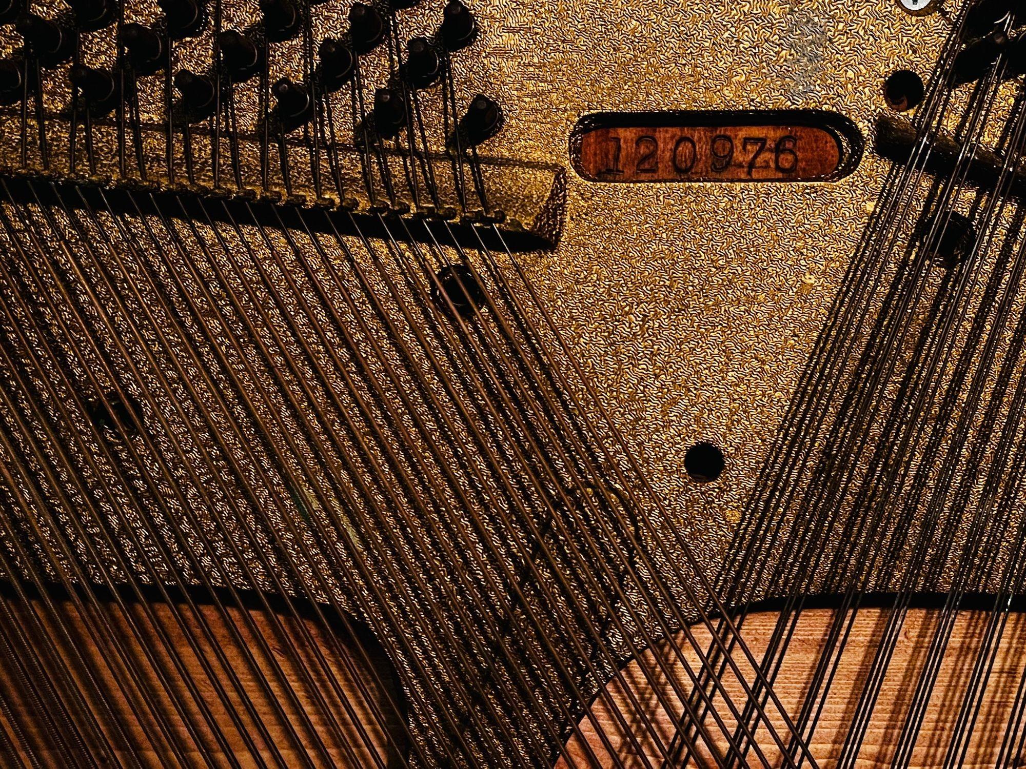 piano harp wall art