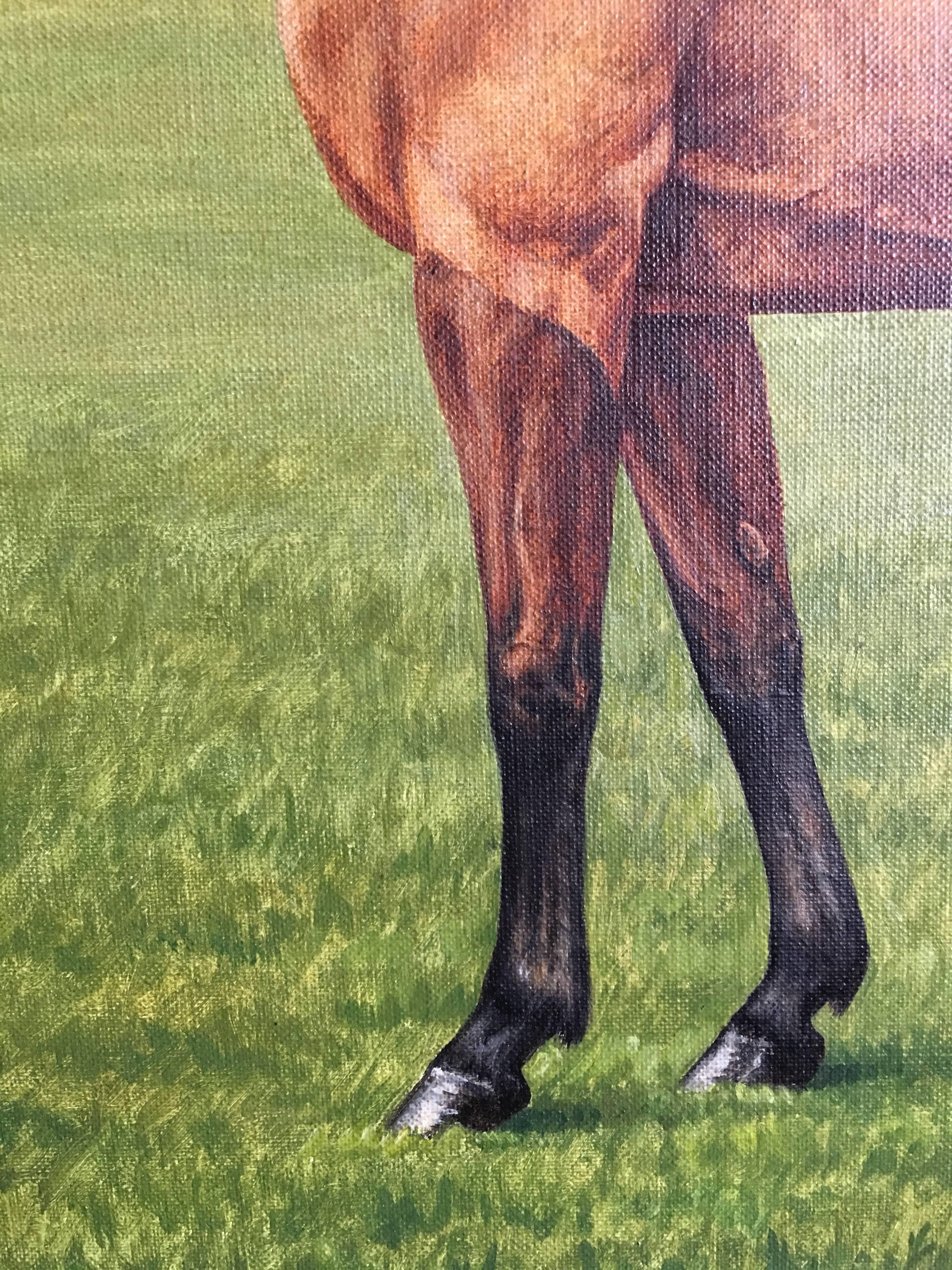 Portrait of a Thoroughbred Horse, Gay Trip, Oil Painting 
By British artist, W.W.Rouch, 21st Century
Signed by the artist on the lower right hand corner
Oil painting on canvas, framed
Frame size: 22.5 x 28.5 inches

Superb portrait of a thoroughbred