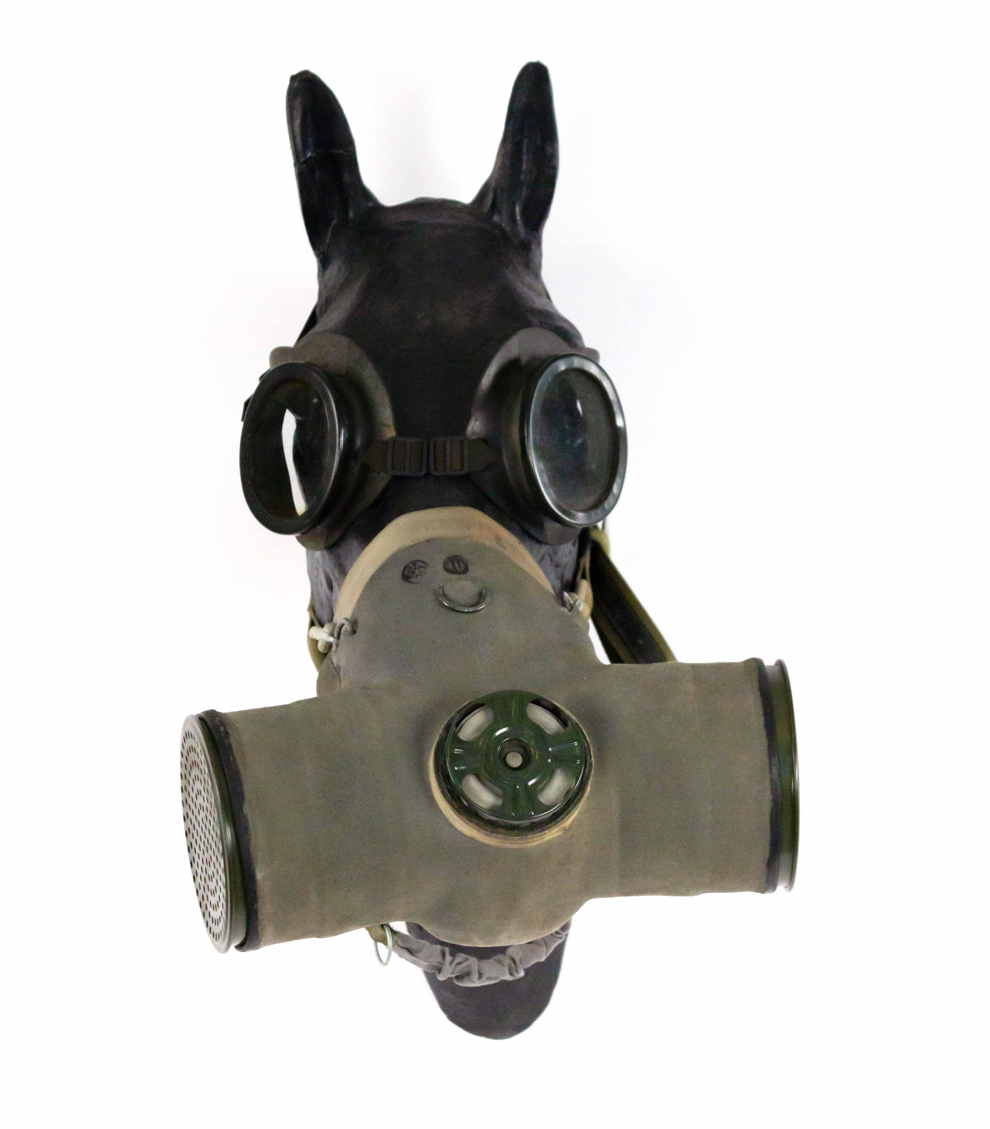 WWI model of a molded papier-mache brown horse head wearing a gas mask and goggles. (Can be mounted on back).
       