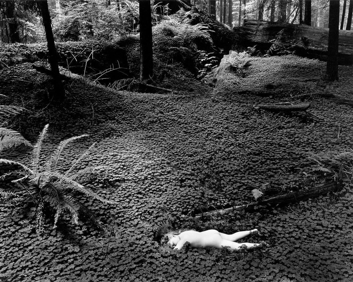 Wynn Bullock Black and White Photograph – Kind im Wald