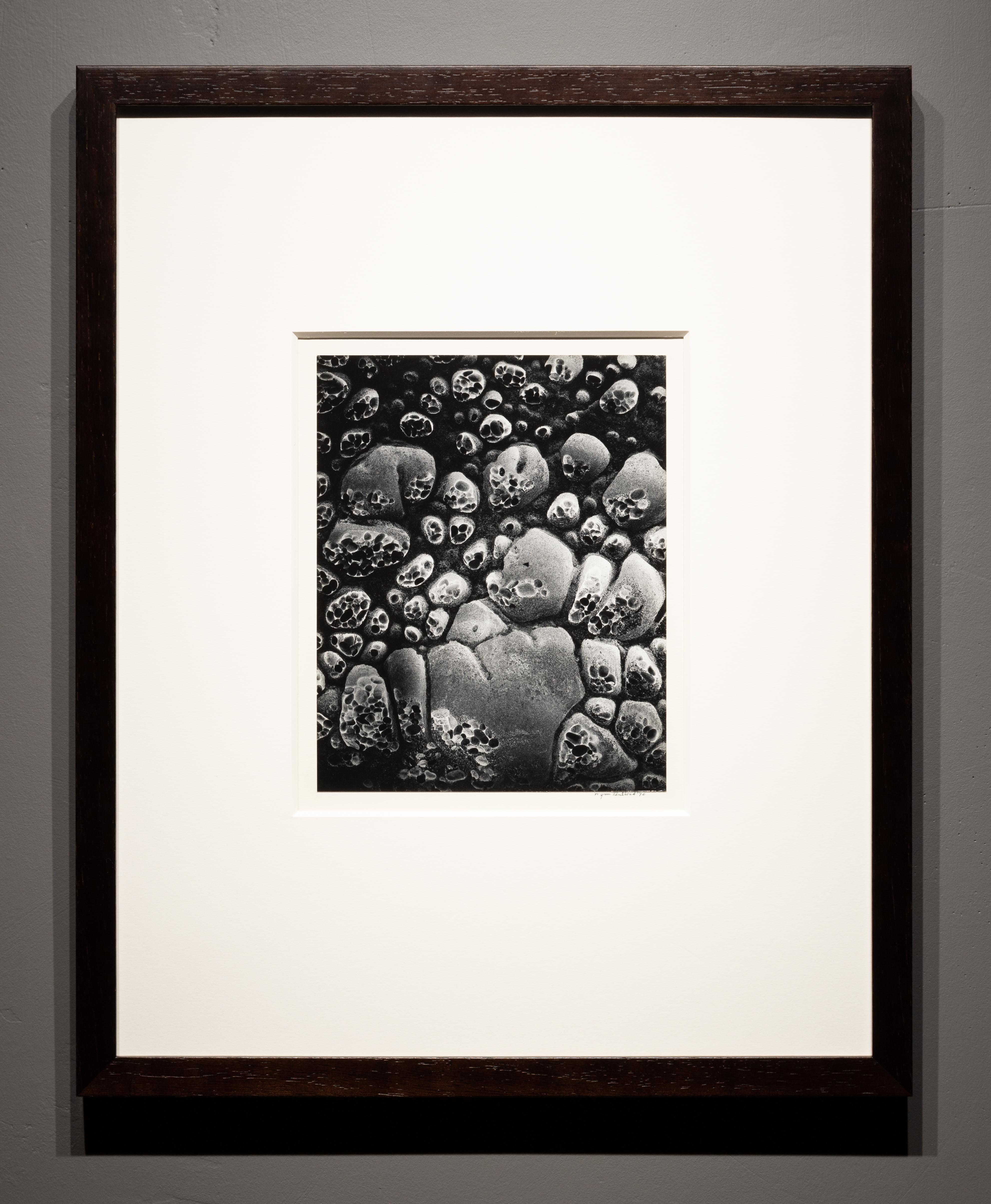 Pebble Beach - Photograph de Wynn Bullock