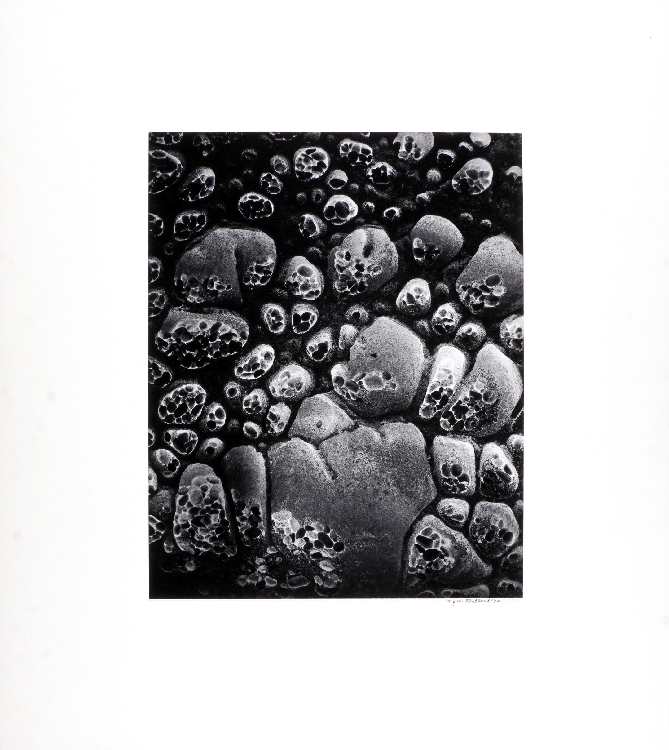 Pebble Beach - Abstrait Photograph par Wynn Bullock