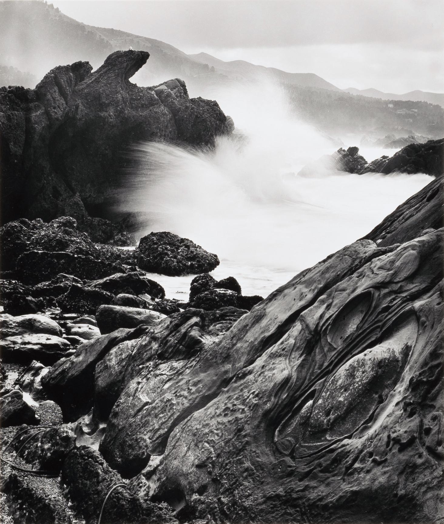 Point Lobos-Wandwelle