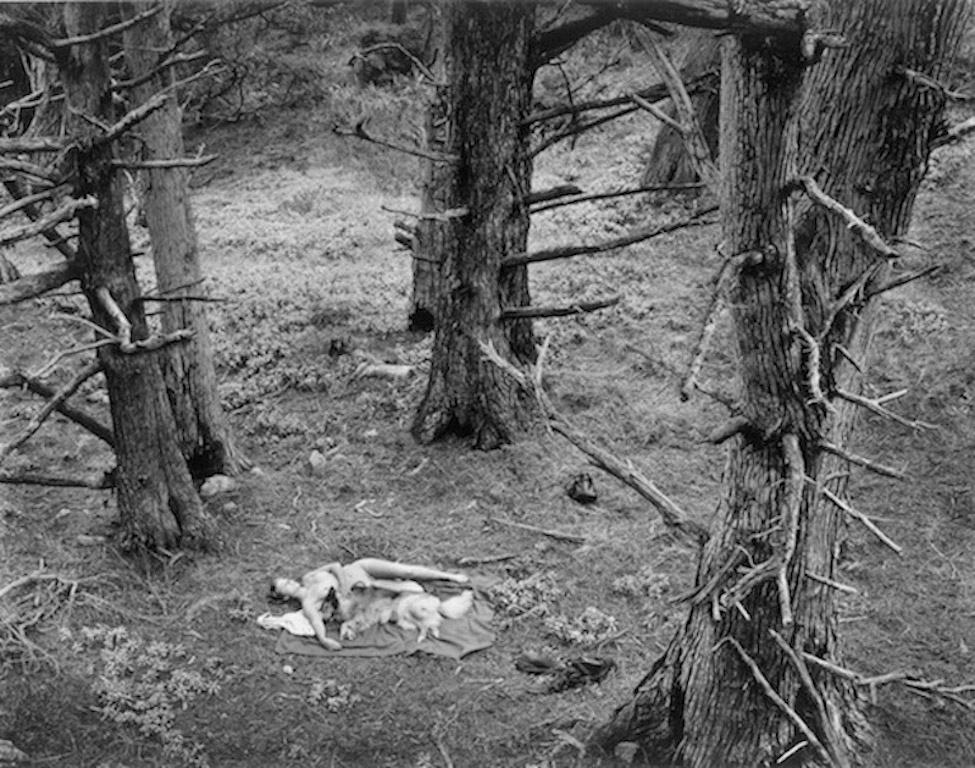 Wynn Bullock Black and White Photograph - Woman & Dog In Forest