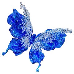 X Morfo celeste