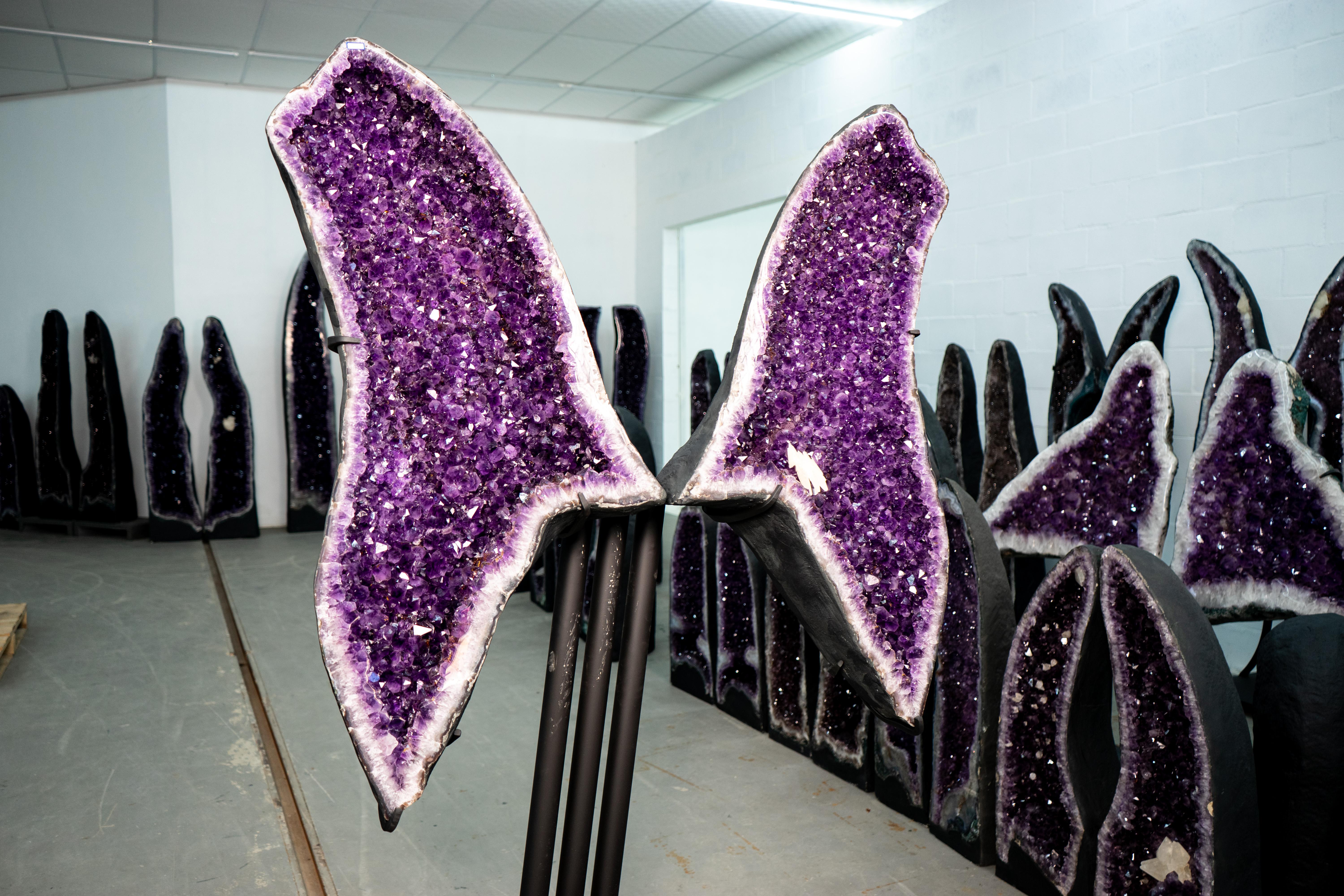 Alas de mariposa amatista púrpura profundo X-Grande de 1,8 m (460 lb) Brasileño en venta