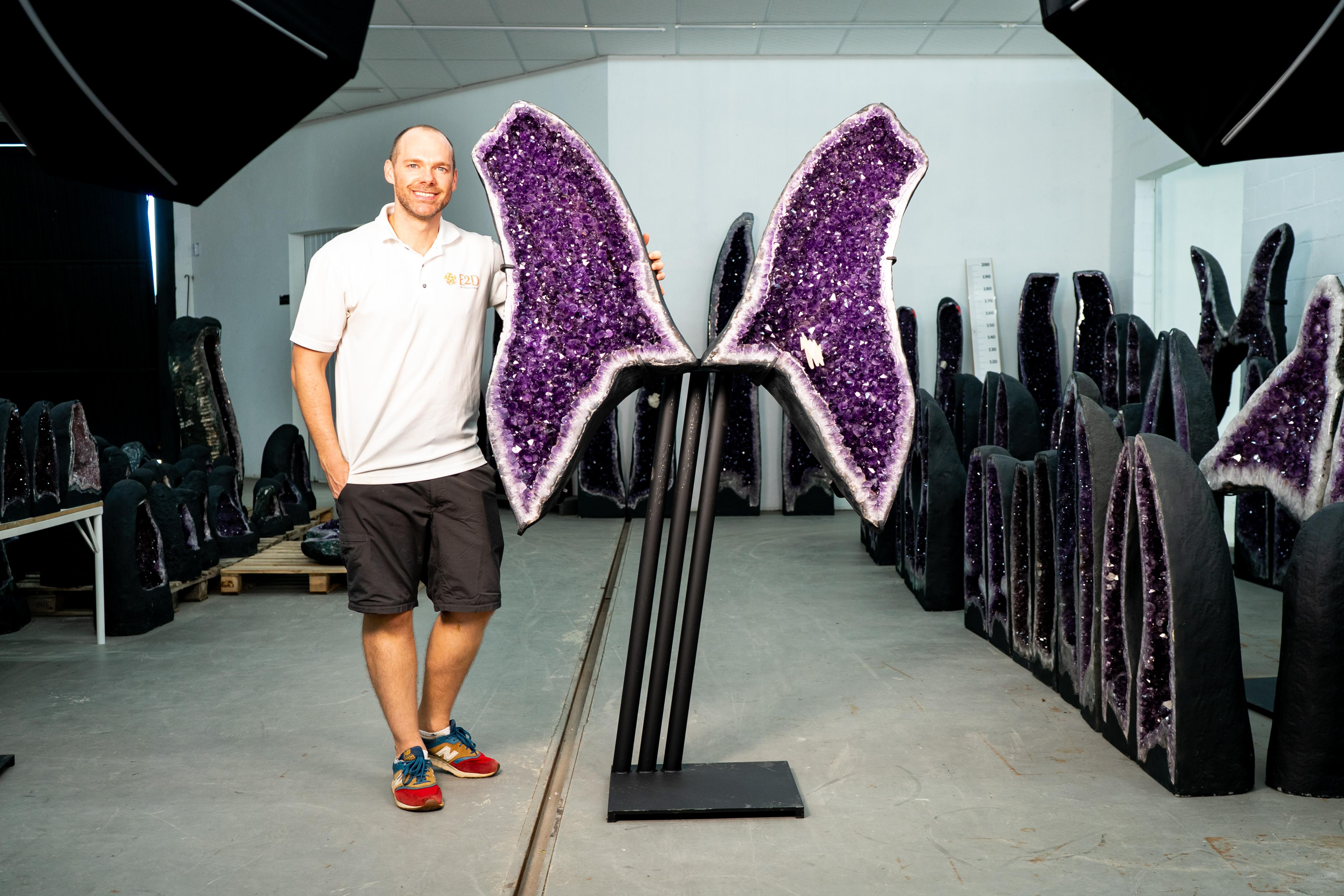 Alas de mariposa amatista púrpura profundo X-Grande de 1,8 m (460 lb) Siglo XXI y contemporáneo en venta