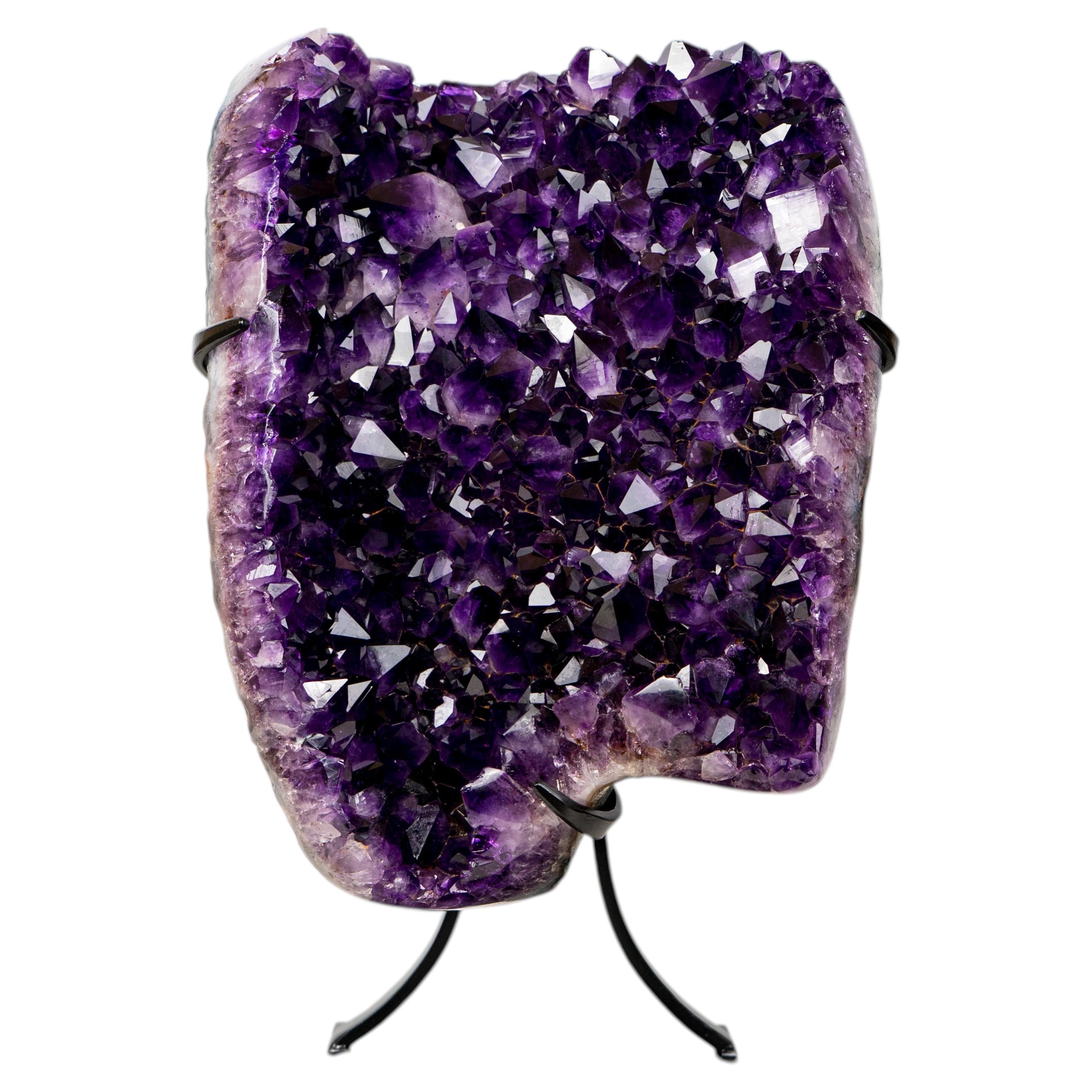 X-Large AAA Grape Jelly Amethyst Geode Cluster