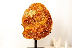 X-Large AAA Madeira Orange Citrine Cluster