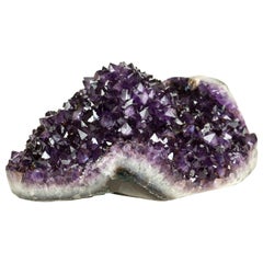 Fiore geode di ametista X-Large con druzy di ametista viola scuro AAA