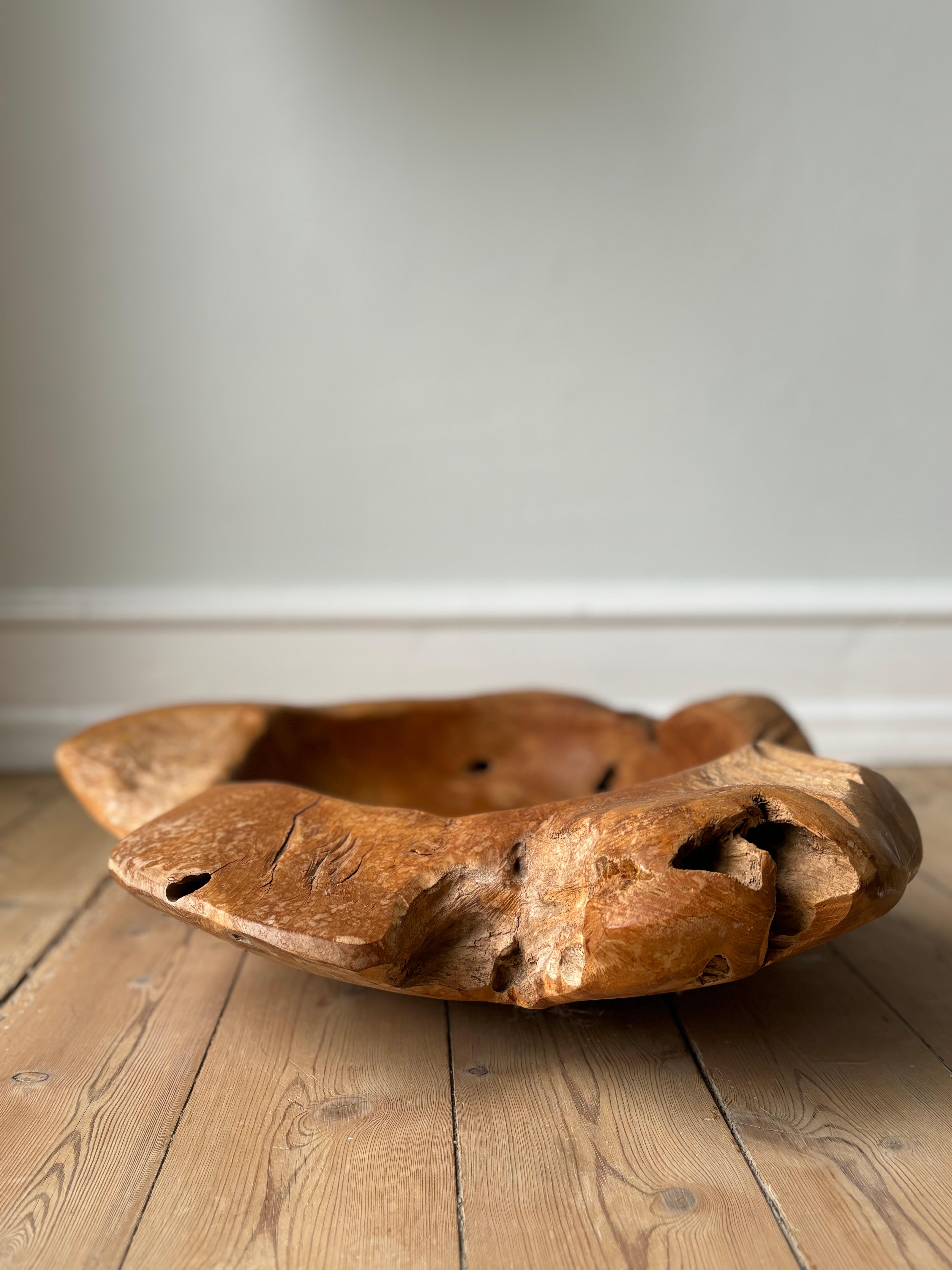 X-Large Vintage French Olive Wood Bowl, Early 20th Century For Sale 4