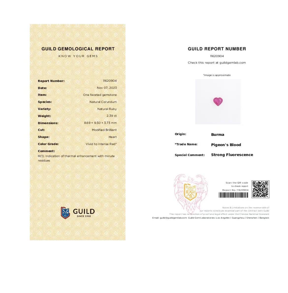 X Rosa Morpho im Angebot 1