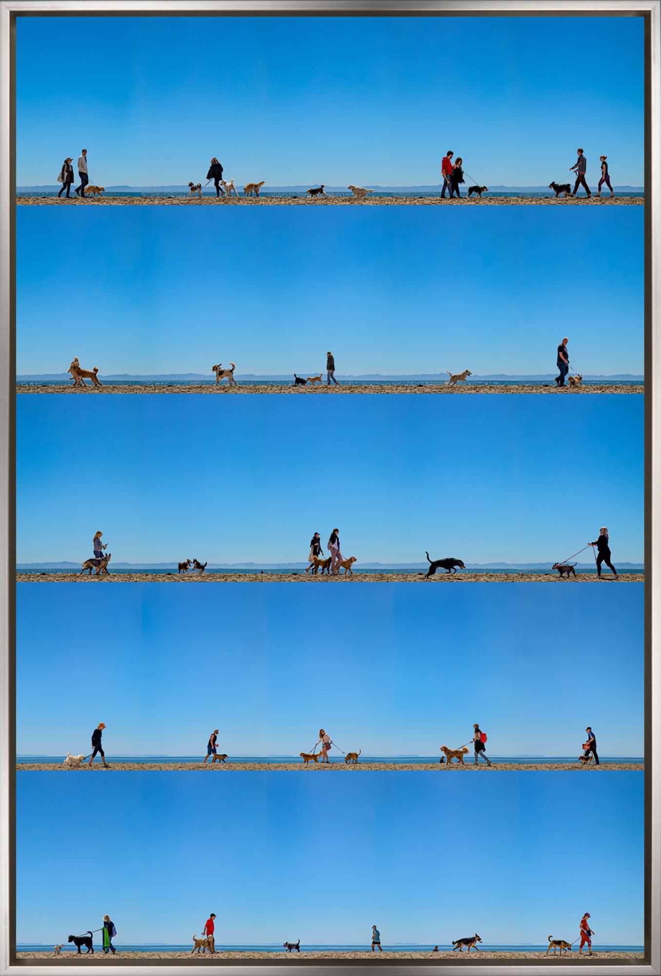 "Hendry's Beach, Santa Barbara, CA" Contemporary Framed Photograph on Aluminum