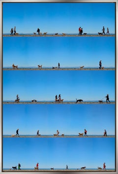 "Hendry's Beach, Santa Barbara, CA" Fotografia contemporanea incorniciata su alluminio