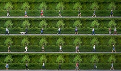 "Princes Street, Auckland, NZ" Zeitgenössische internationale Fotografie mit Rahmen