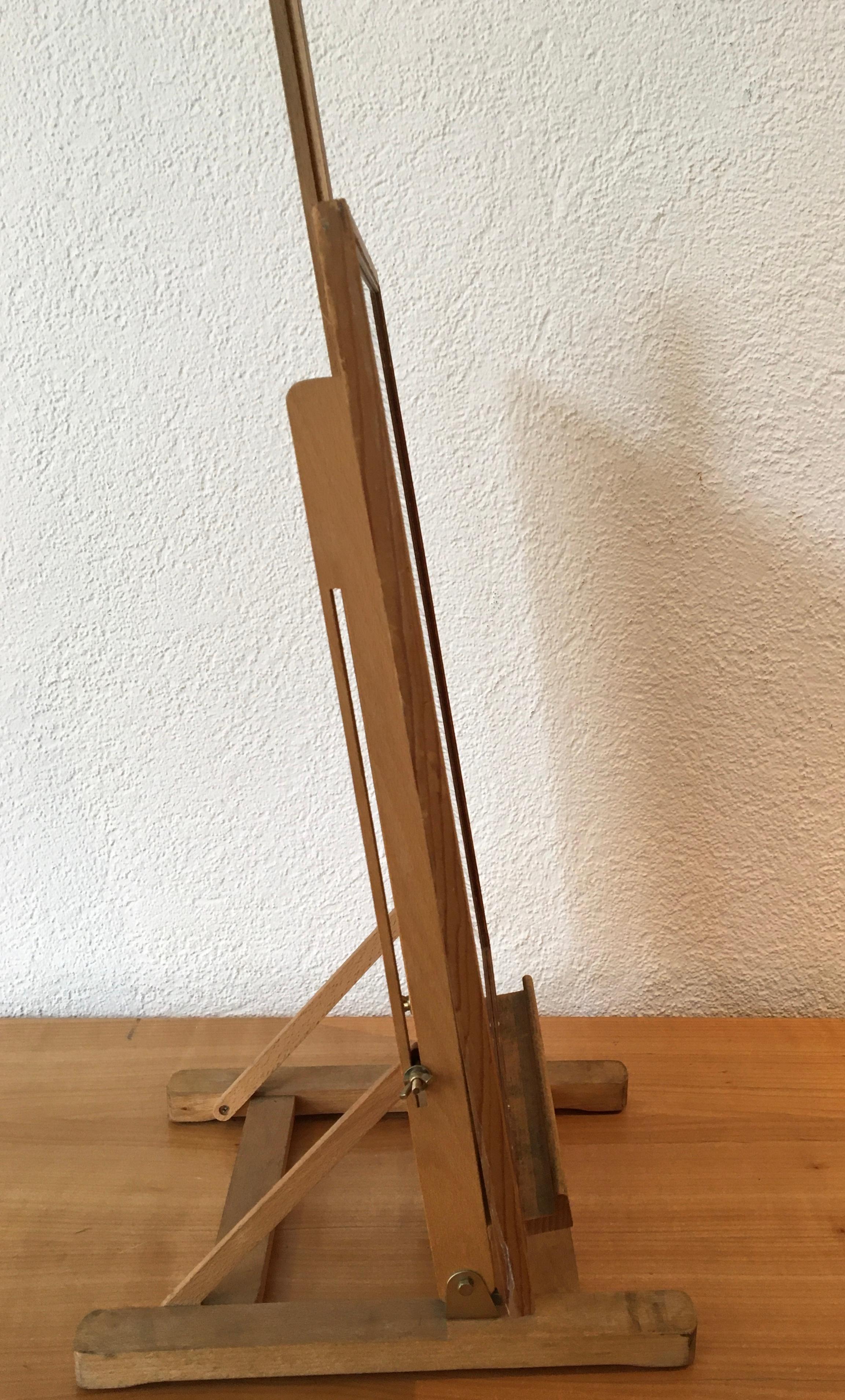 Fósil en venta 1